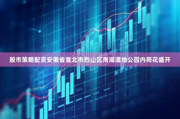 股市策略配资安徽省淮北市烈山区南湖湿地公园内荷花盛开