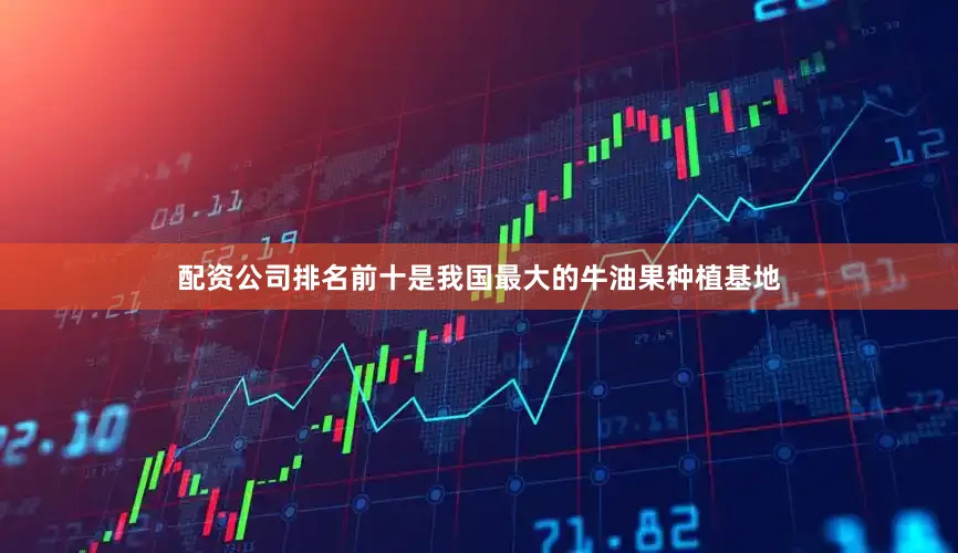 配资公司排名前十是我国最大的牛油果种植基地