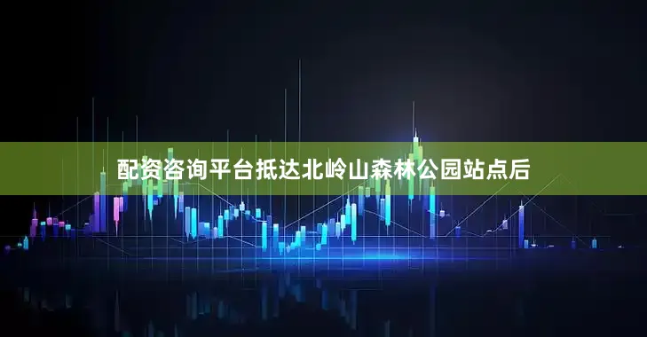 配资咨询平台抵达北岭山森林公园站点后