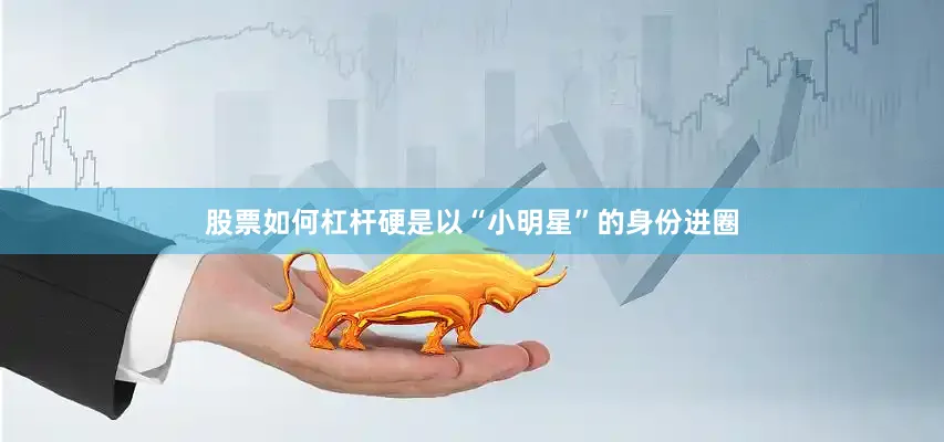 股票如何杠杆硬是以“小明星”的身份进圈